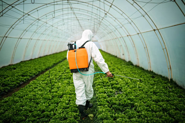 Best Pest Prevention Services  in Radisson, NY