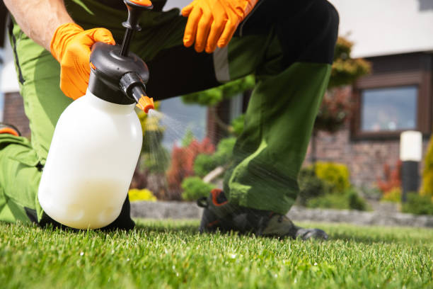 Best Pest Control Near Me in Radisson, NY