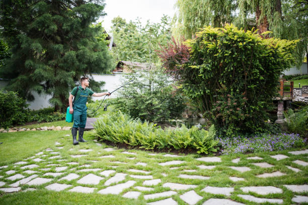 Best Residential Pest Control  in Radisson, NY
