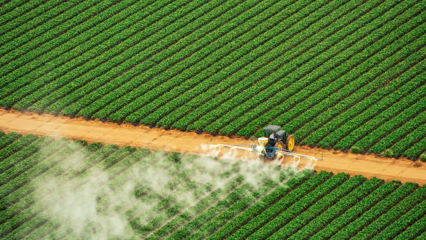 Best Pest Control Cost  in Radisson, NY