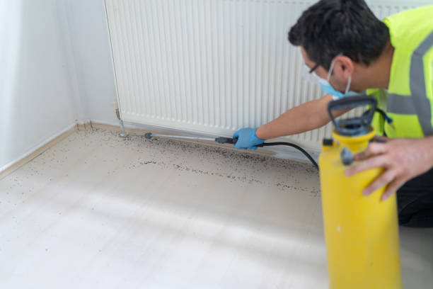 Best Ant Control Services  in Radisson, NY