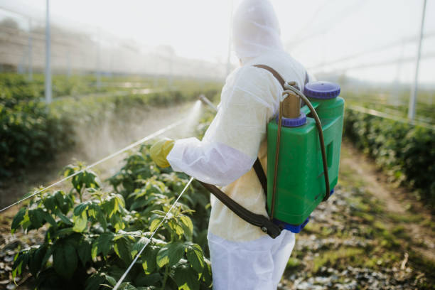 Best Pest Prevention Services  in Radisson, NY